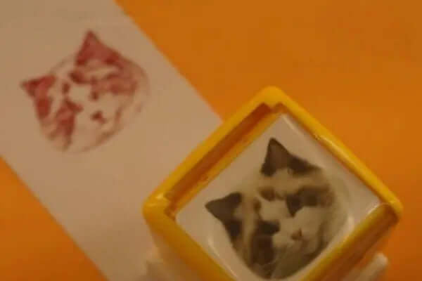 Custom Dog and Cat Photo Accessories - BuddyCopies