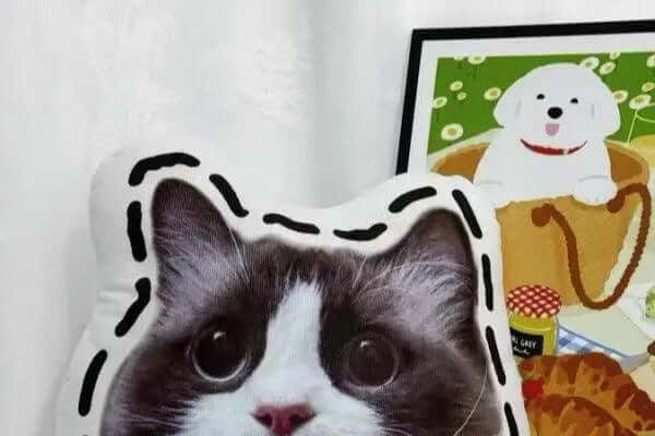 Home&Living - BuddyCopies