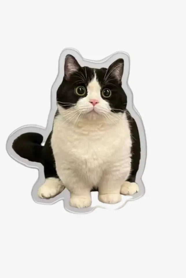 Custom Pet Fridge Magnets: Personalized Keepsakes for Your Beloved Companions BuddyCopies