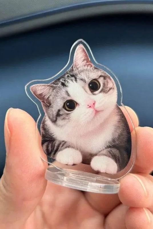 hand holding a littlle personalized cute cat bobblhead in a car