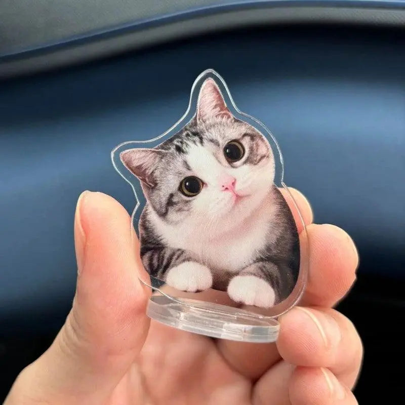 hand holding a littlle personalized cute cat bobblhead in a car