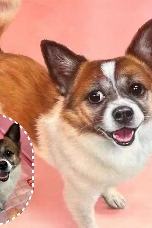 Custom corgi oil painting with painted fur details, compared to a live corgi