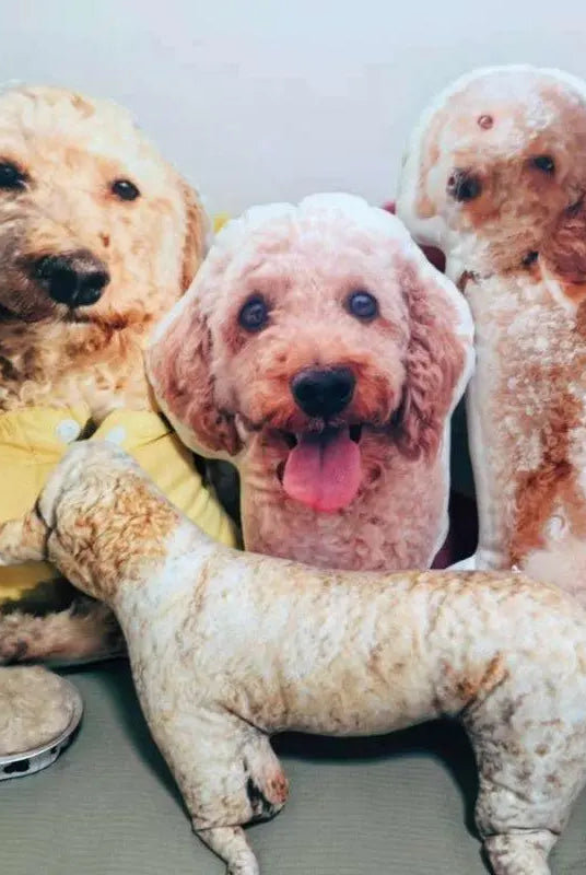 Personalized dog pillows lying on the bed