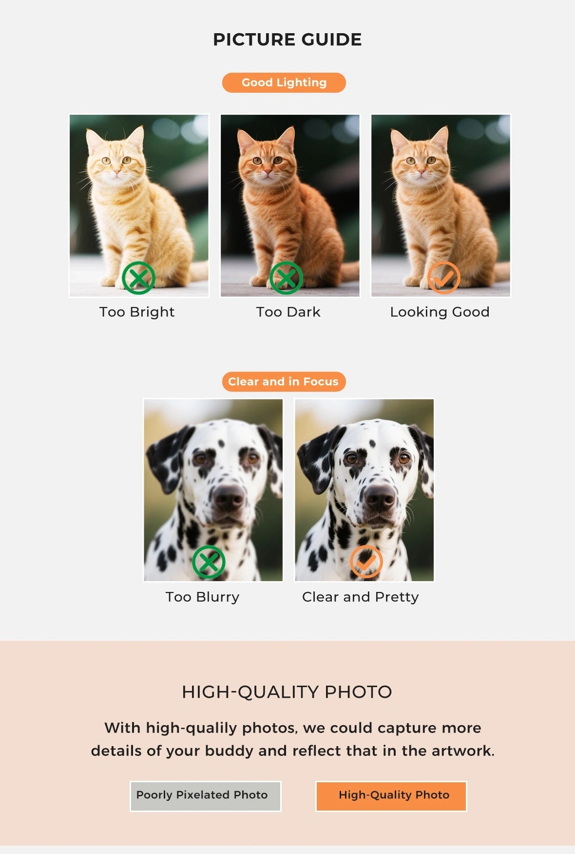 Comprehensive guidelines: Upload requirements for images (formats: JPG, PNG, GIF; min. 300 DPI). View full guide for details.