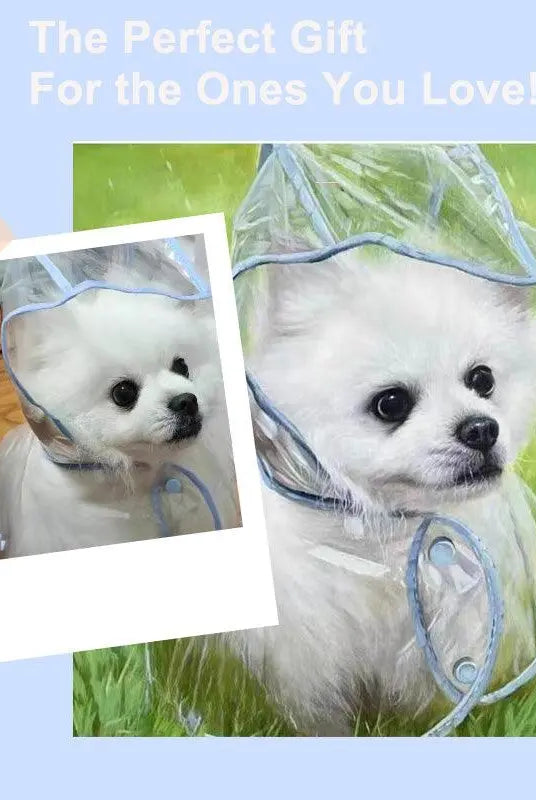 Pet oil painting being a perfect gift for loved ones