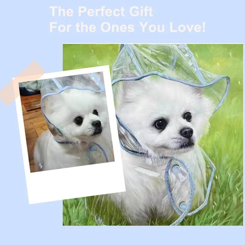 Pet oil painting being a perfect gift for loved ones