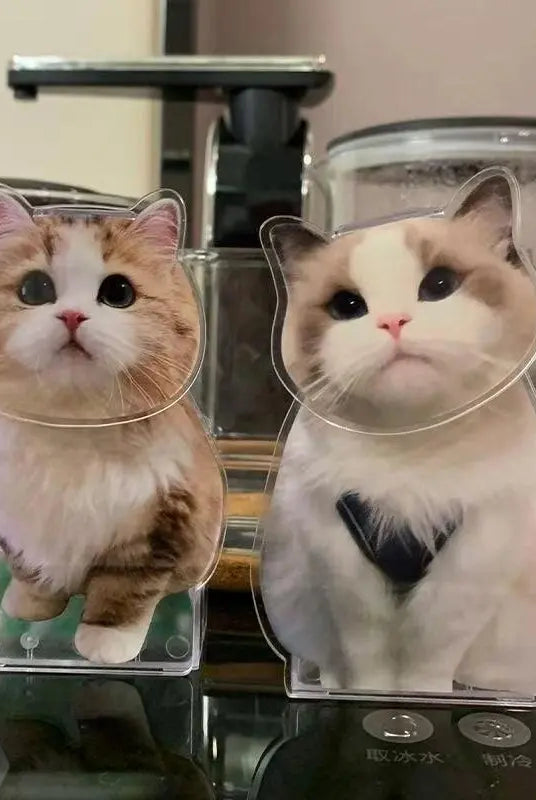 a ginger cat bobblehead and rag doll custom bobblehead on the desktop