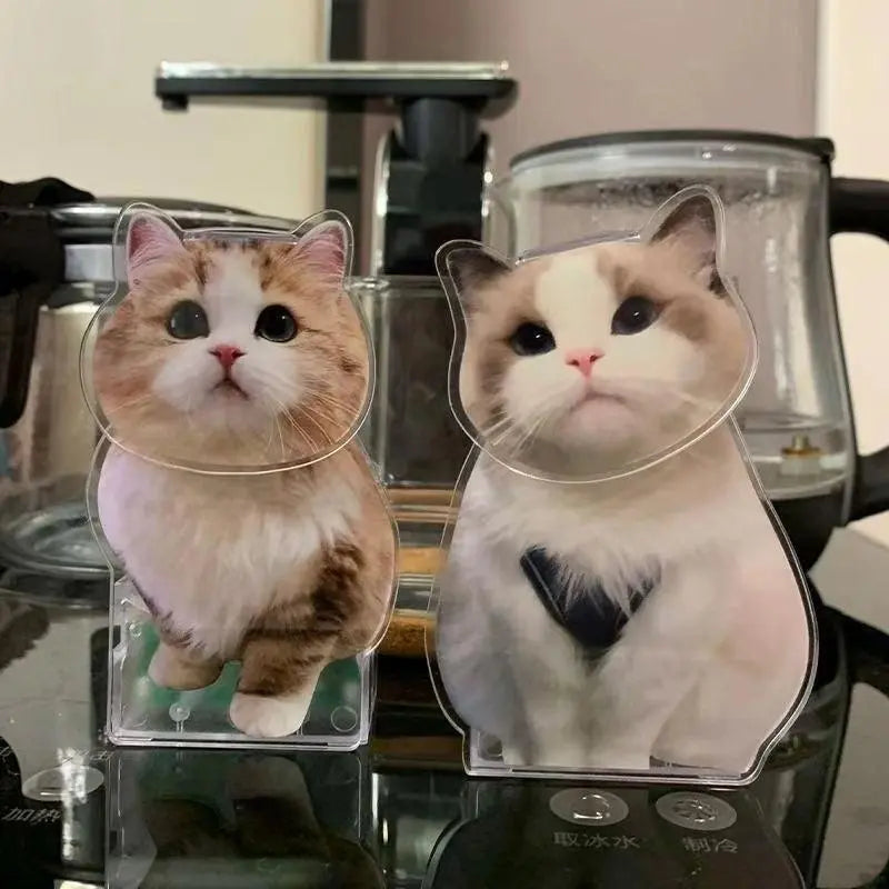 a ginger cat bobblehead and rag doll custom bobblehead on the desktop