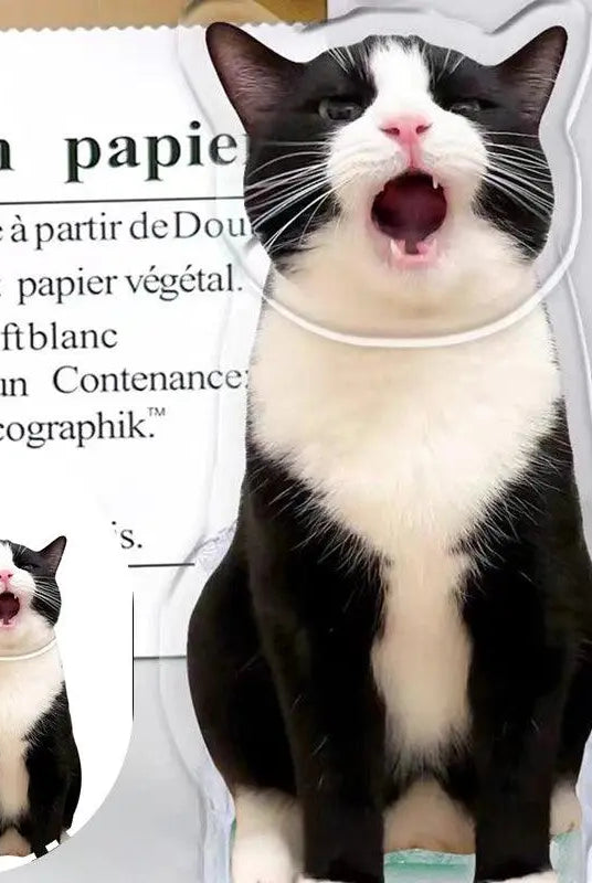 a yawning cat portrait bobblehead in comparison with cat photo