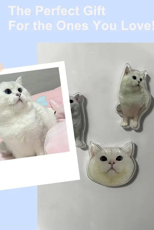 custom cat maget comparison with original cat portrait