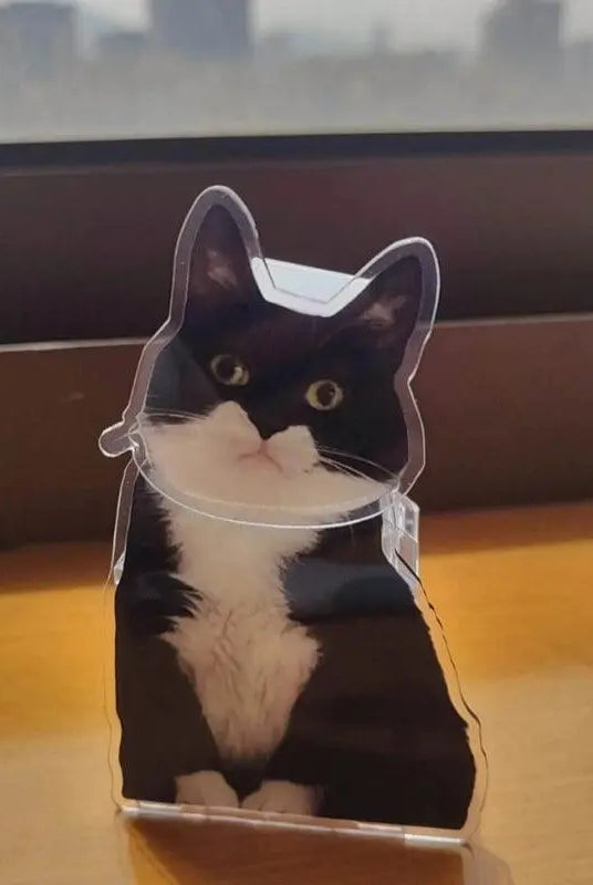 a black and whight cat bobblehead home decor standing by the window