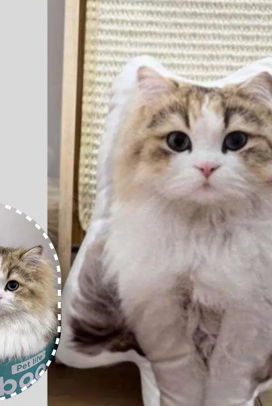 customization effect comparison of a rag doll