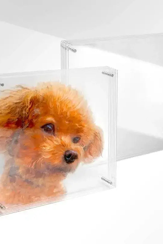 Custom 3D layered acrylic pet portrait with golden retriever design, front view showing depth effect