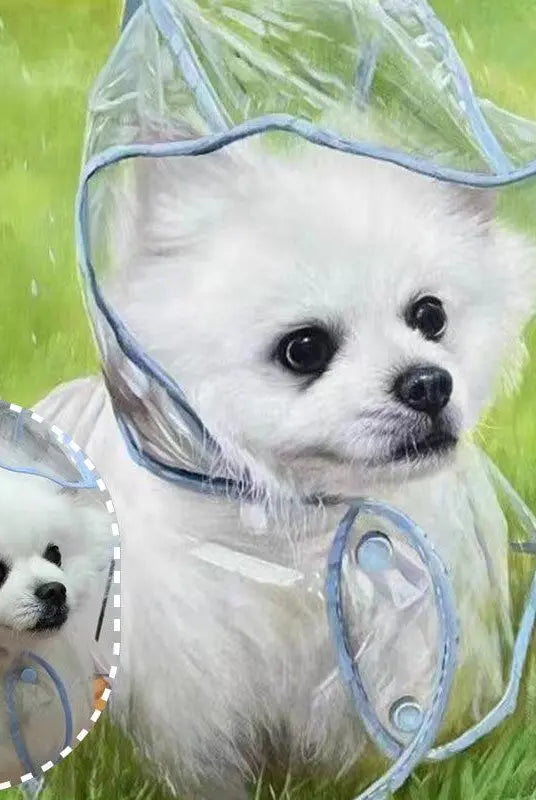 Suprising transformation: a dog's photo and finished engraved oil painting with unmatchable accuracy