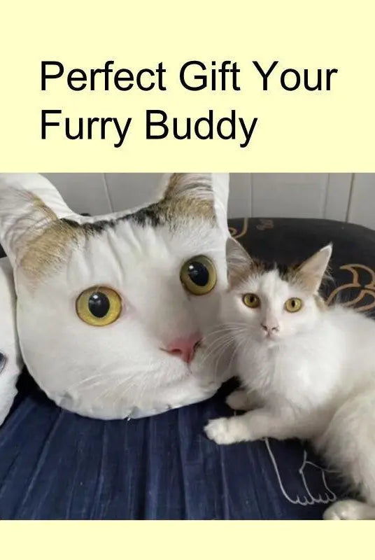 custom cat head pillow in comparison with a real cat