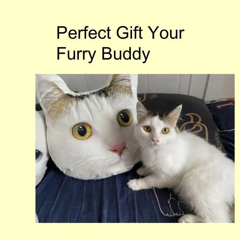 custom cat head pillow in comparison with a real cat
