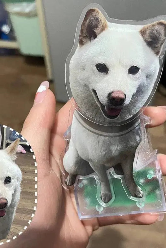 custom dog bobble head comparing his original portrait