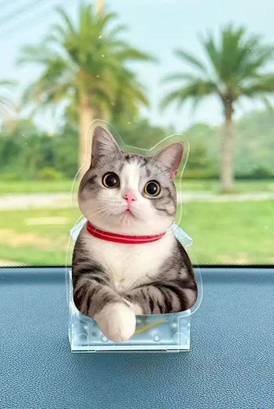 cute cat portrait bobblehead with eyes wide open