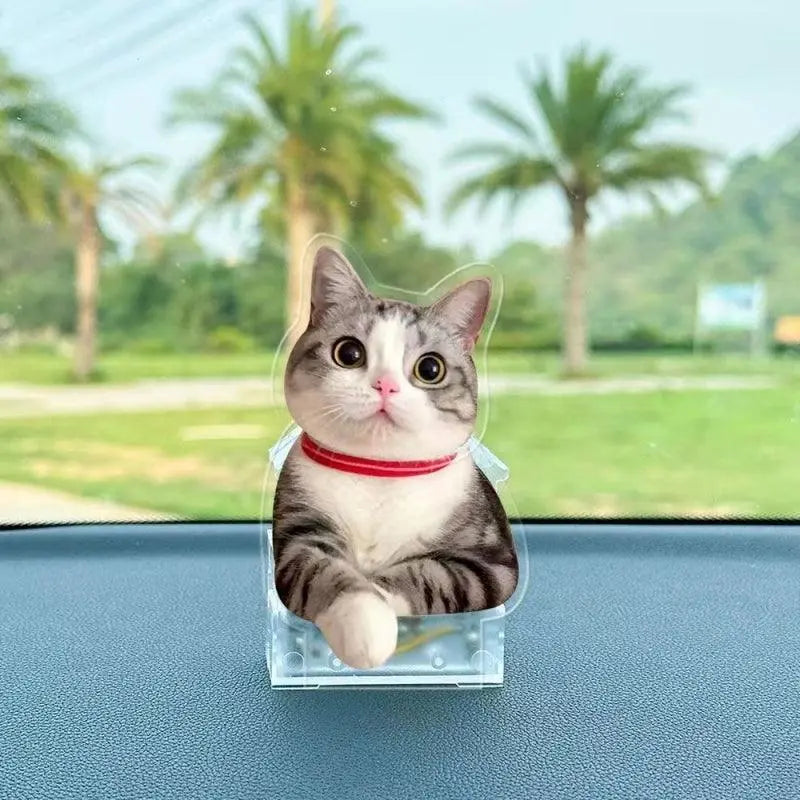 cute cat portrait bobblehead with eyes wide open