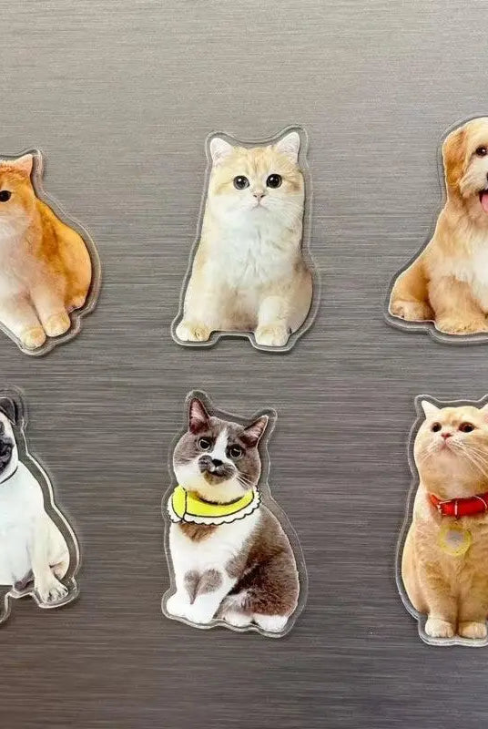 full body portrait dog and cat frige magnets sticking to the grey refrigerator