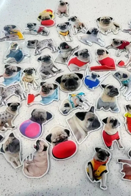 lots-of-French-Bulldog-magnets-with-different-shapes-and-lookings-lying-on-the-floor