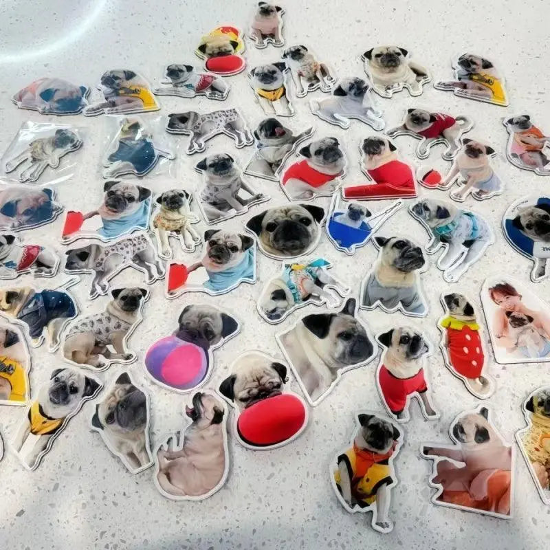 lots-of-French-Bulldog-magnets-with-different-shapes-and-lookings-lying-on-the-floor