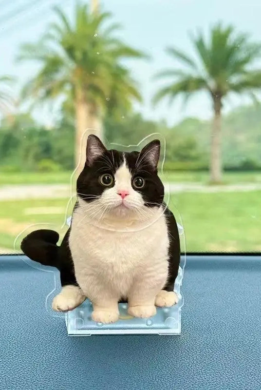 Memorial pet bobblehead in a car as a car decoration