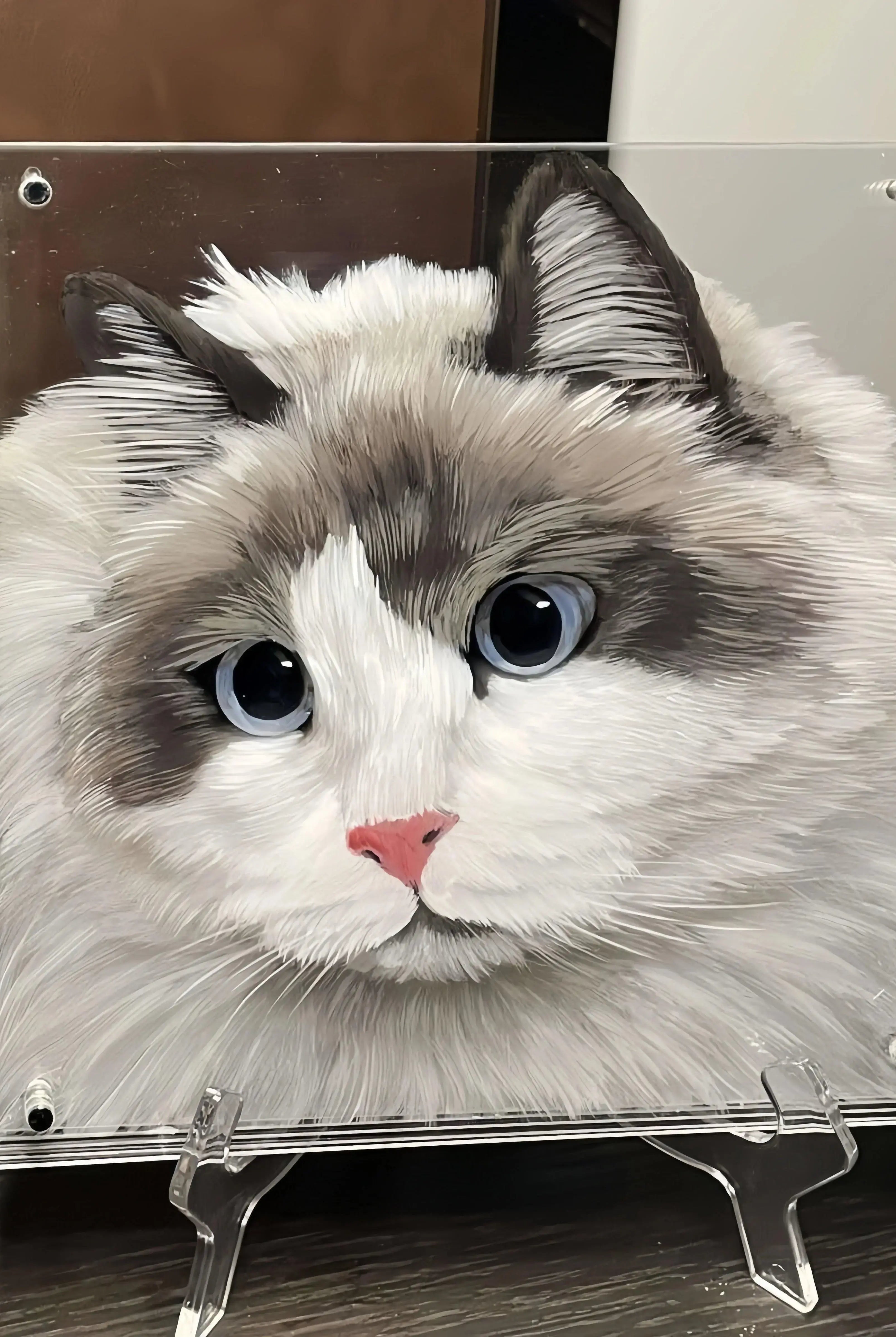 Angled view of 5-layer acrylic cat portrait creating lifelike dimensional shadows.