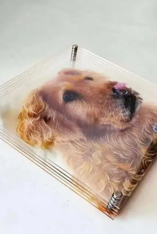 Flat view of 5-layer acrylic dog portrait creating lifelike dimensional shadows.