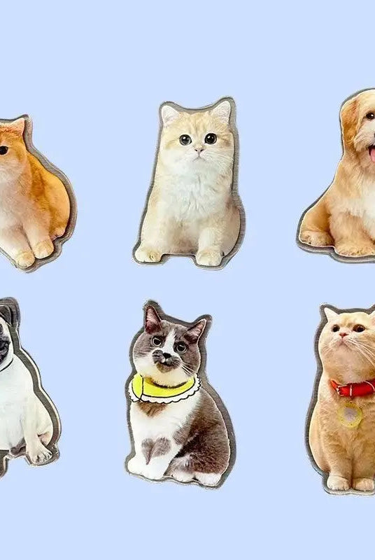 ulti-pet magnet set featuring engraved dog and cat portraits featuring custom shapes