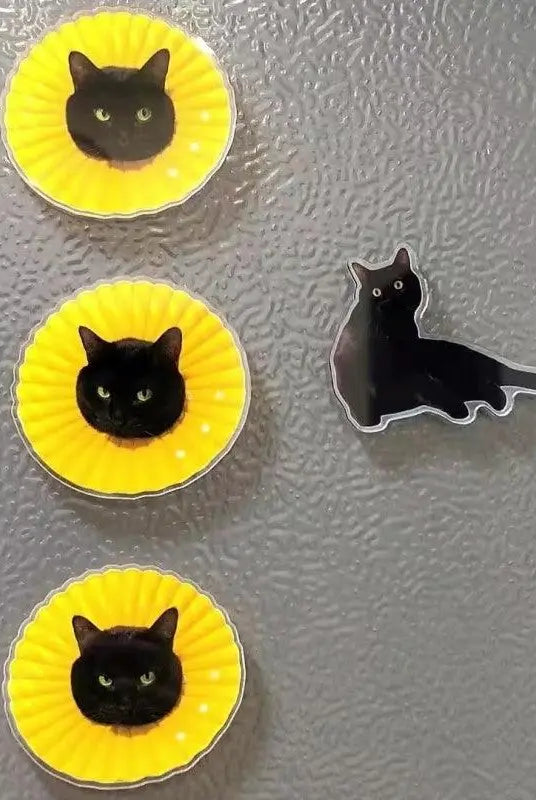 Pet magnet attached to car refrigerator