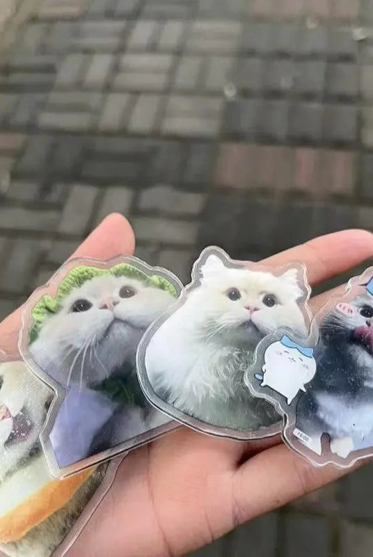 Pet magnets in a hand during road trip scene