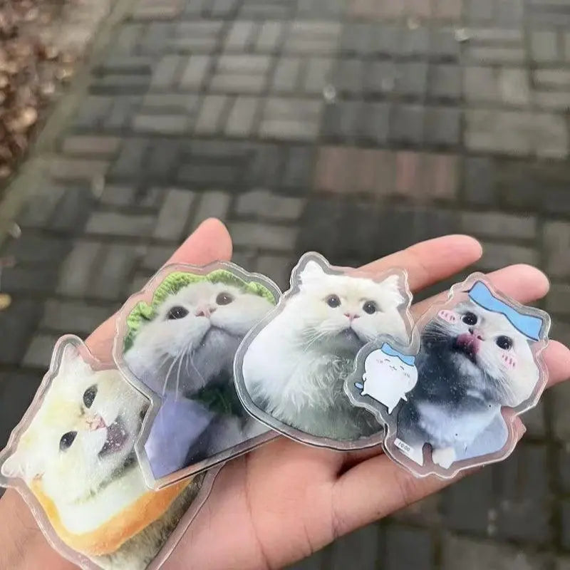 Pet magnets in a hand during road trip scene