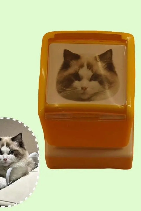 Mobile interface showing customer uploading a high-contrast cat photo.