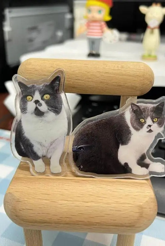two pet-magnet decorations on chair