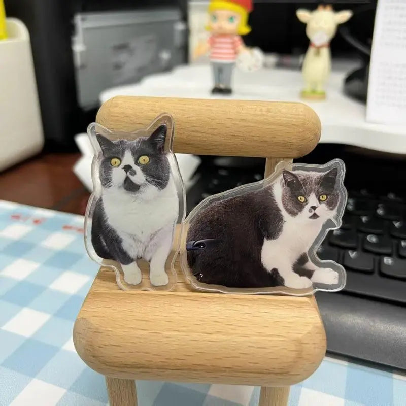 two pet-magnet decorations on chair