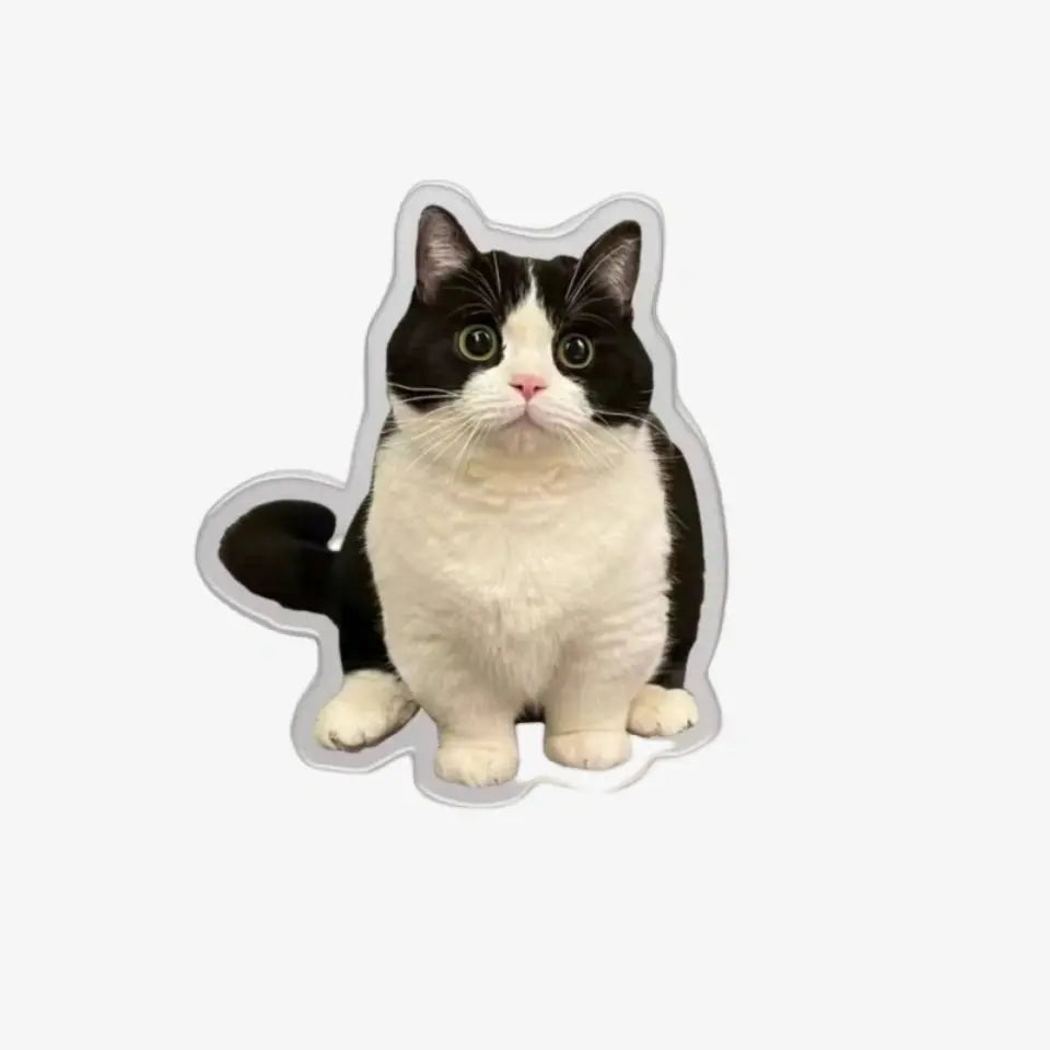 Custom Pet Fridge Magnets: Personalized Keepsakes for Your Beloved Companions BuddyCopies