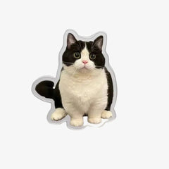 Custom Pet Fridge Magnets: Cherished Keepsakes