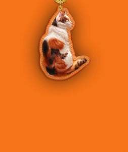 Custom-Pet-ID-Keychain-Engraved-with-Your-Pet-Name-and-Paw-Print