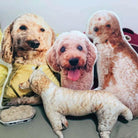 Personalized dog pillows lying on the bed