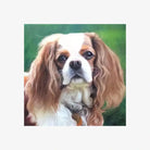 Custom Hand-Painted Pet Portraits: Timeless Oil Art from Your Photo BuddyCopies