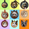 Personalized heart-shaped luggage tags for dogs and cats