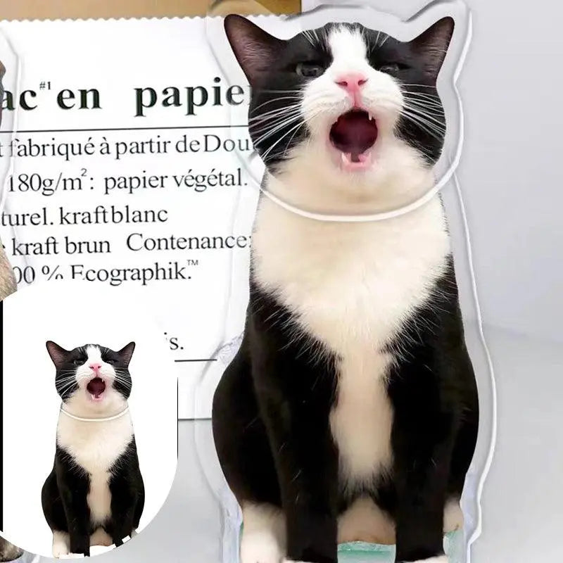 a yawning cat portrait bobblehead in comparison with cat photo