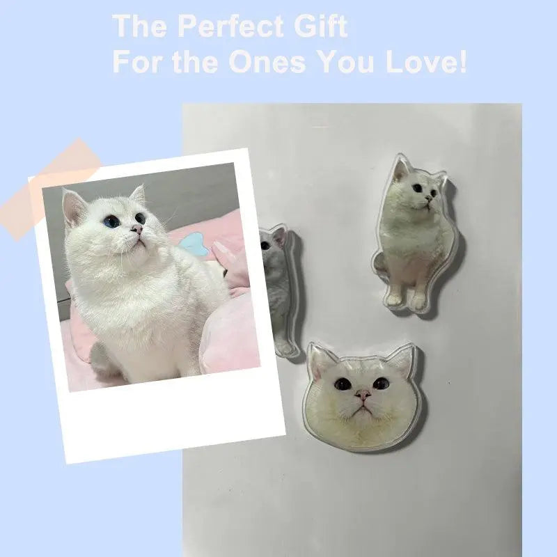 custom cat maget comparison with original cat portrait