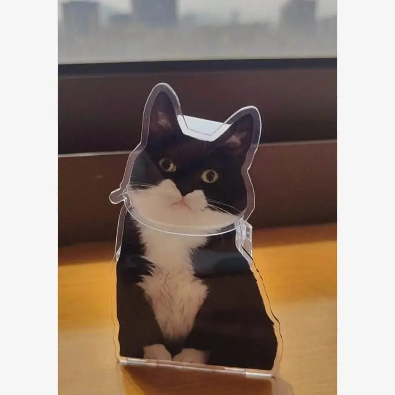 a black and whight cat bobblehead home decor standing by the window