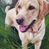 Custom Hand - Painted Pet Portraits: Timeless Oil Art from Your Photo - BuddyCopies