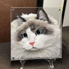 Custom Layered Acrylic Pet Portraits: 3D Hand - Painted Art for Pet Lovers - BuddyCopies