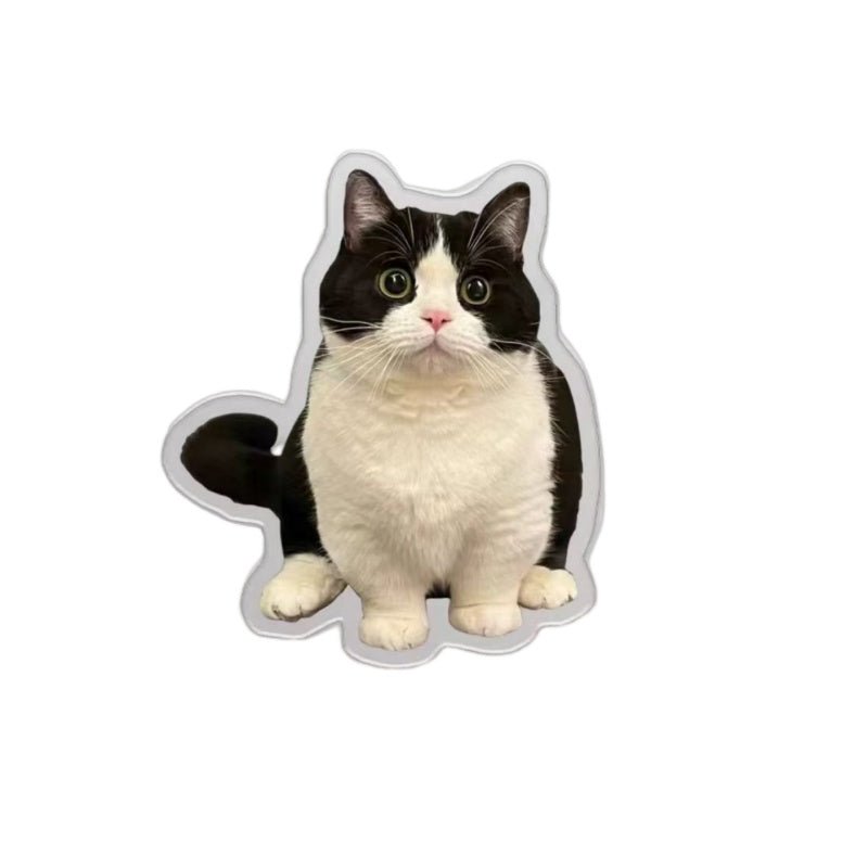 product img