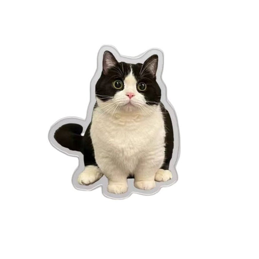 Custom Pet Fridge Magnets: Personalized Keepsakes for Your Beloved Companions - BuddyCopies