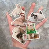 Custom Pet Fridge Magnets: Personalized Keepsakes for Your Beloved Companions - BuddyCopies